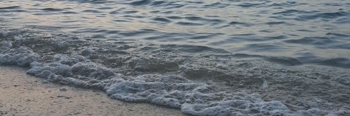 king14081's profile banner image
