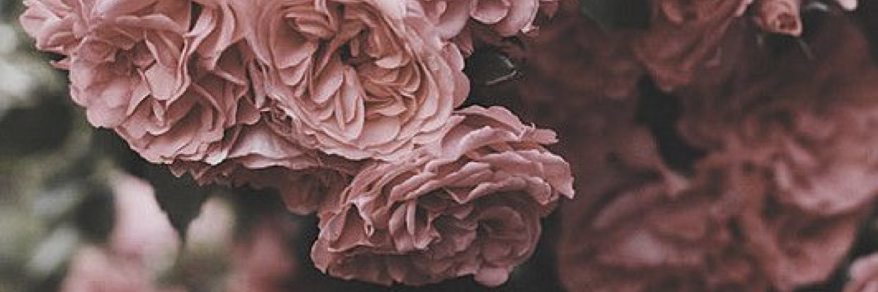 tiffanyatraver's profile banner image