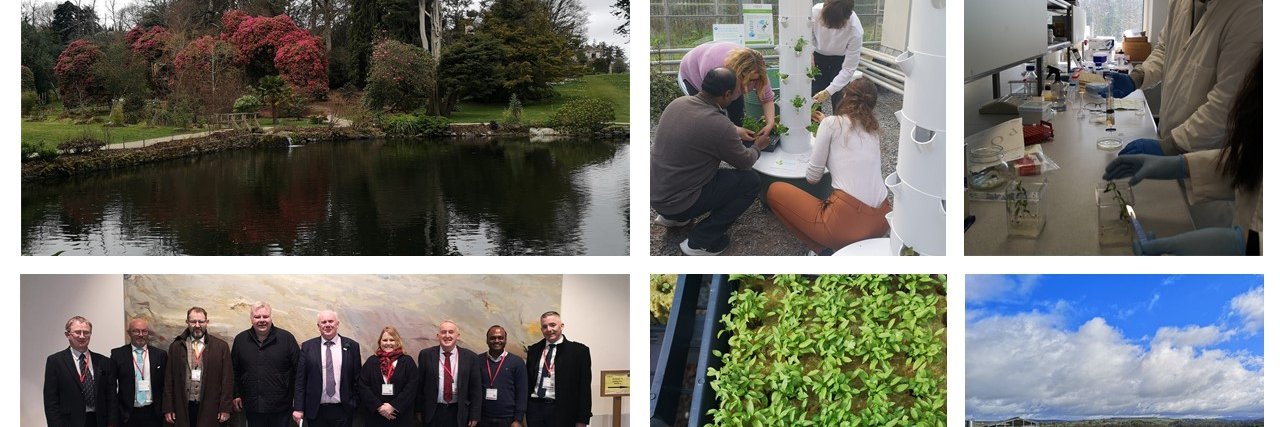 Barbara Doyle Prestwich PhD banner