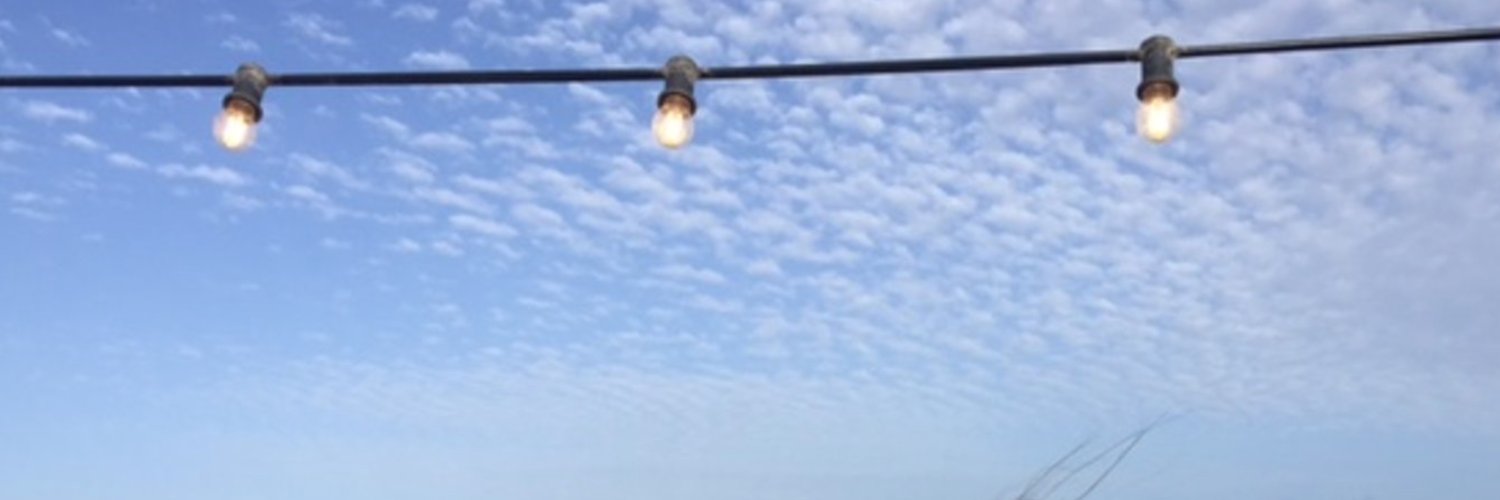 Marta Miarons banner