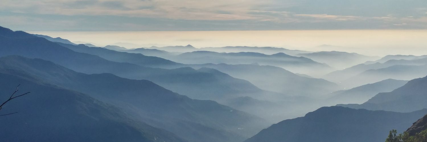 ellentkiser's profile banner image