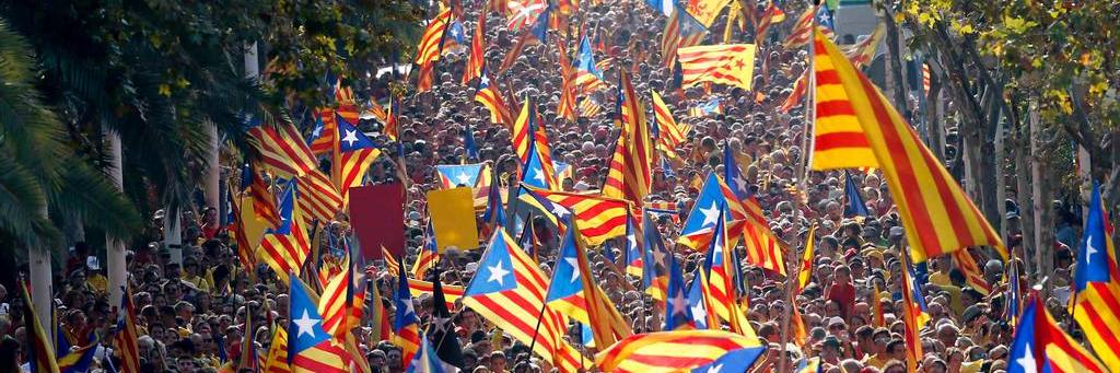 Désirée Triler banner