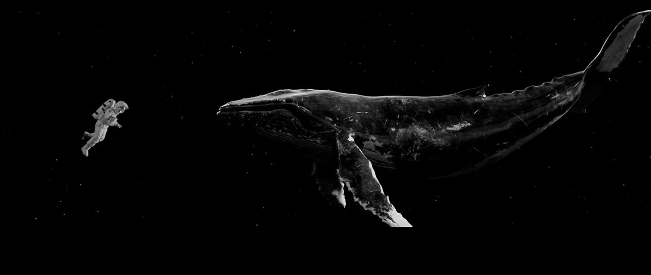 0_hyacinth_'s profile banner image