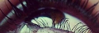 tofn110's profile banner image