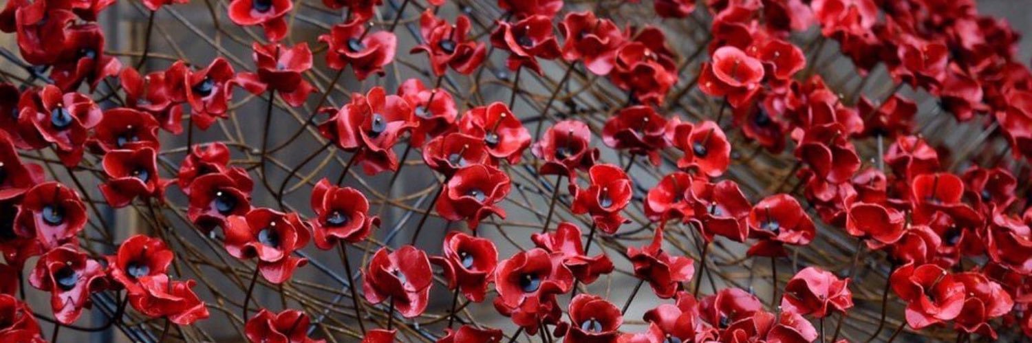 GillyT🇬🇧🏴󠁧󠁢󠁥󠁮󠁧󠁿 banner