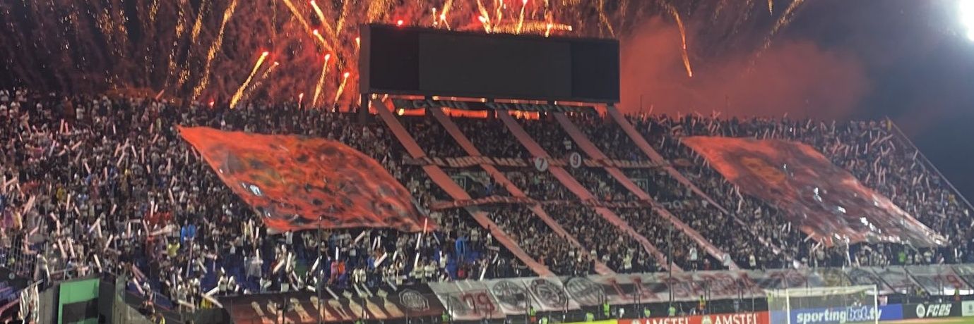 Ariel Schnitzler banner