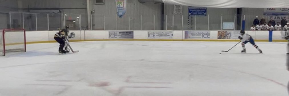 🌴 Kelly 🌴 banner