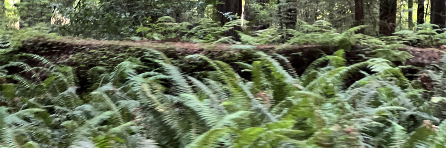 cherokeedevil66's profile banner image
