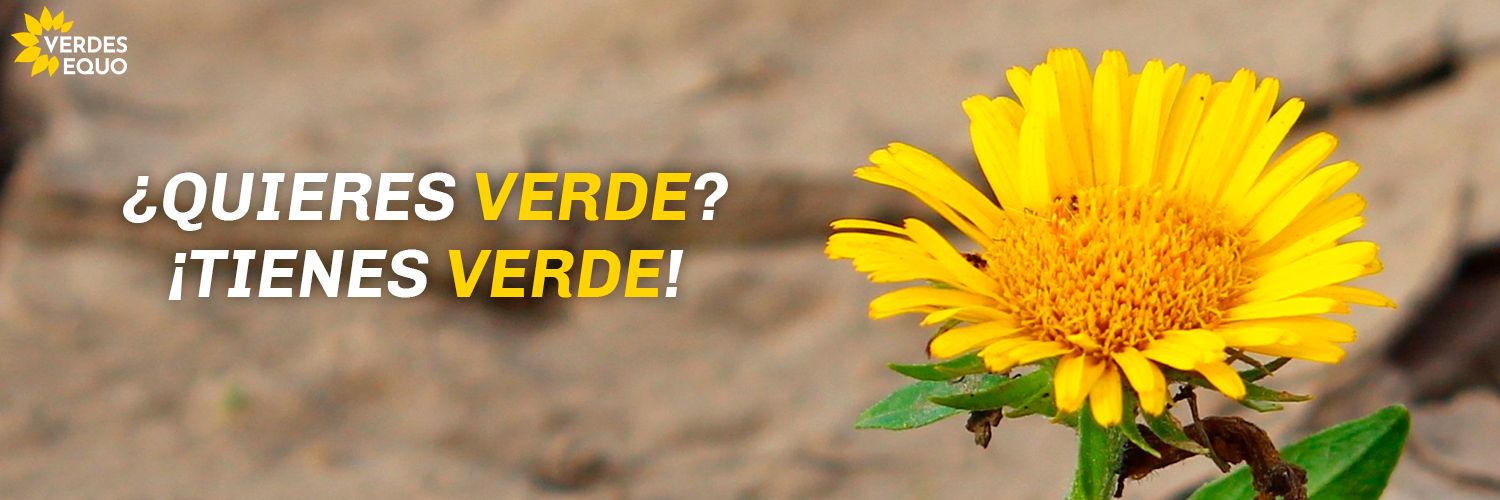 Partido Verde Madrid banner