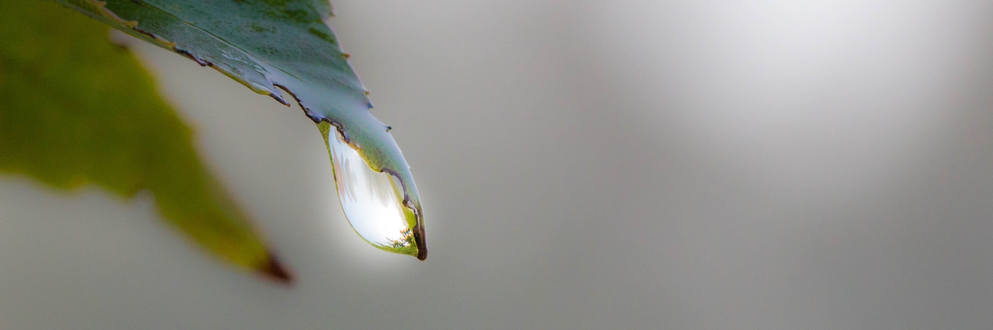 LisaOIH's profile banner image
