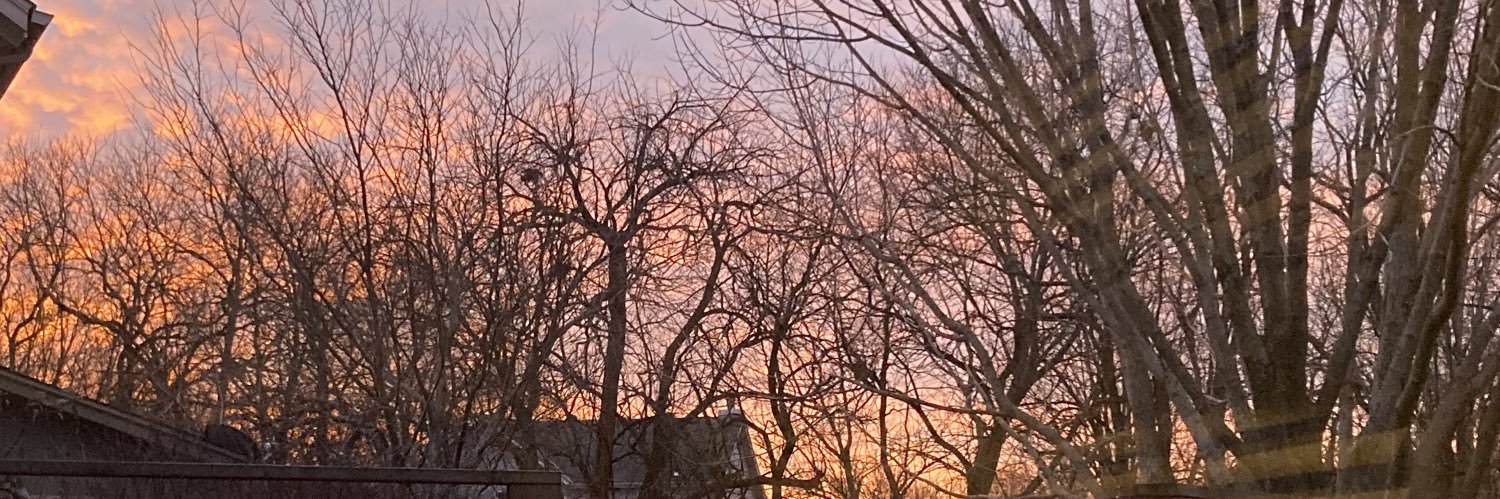 Hayley Williams banner