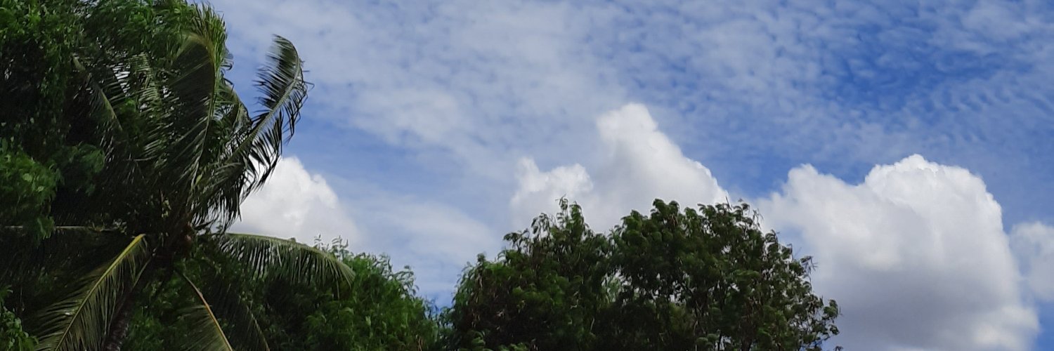 Upilisasi's profile banner image