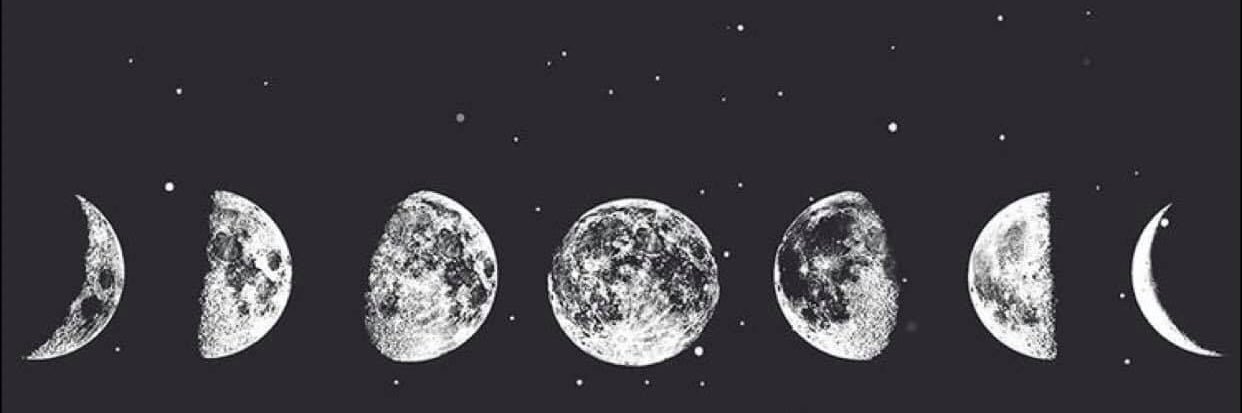 ttdamarcella's profile banner image