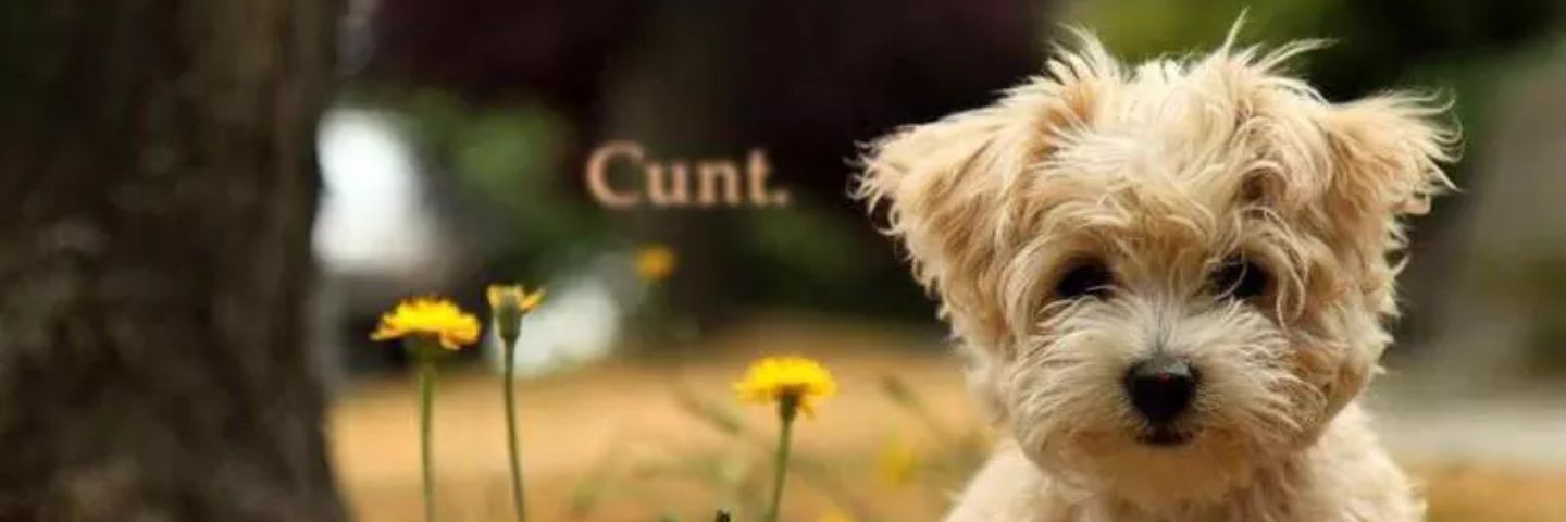 bby_G95's profile banner image