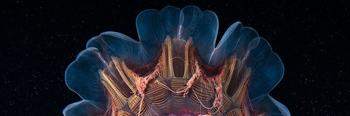 JESiCAMAXWEL's profile banner image