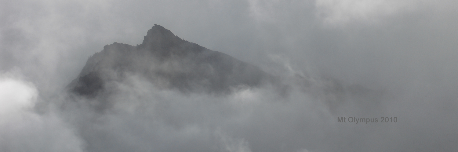 everett steele banner