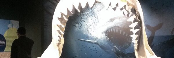 liltrishie Profile Banner