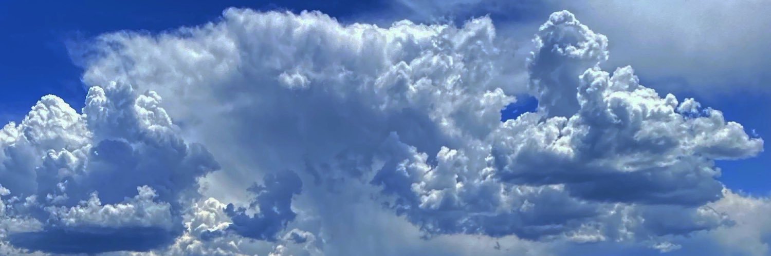 LaceyBollinger's profile banner image