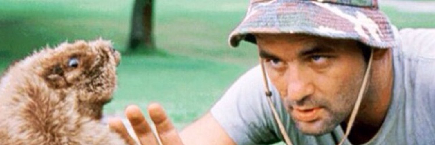 Vander_Feen's profile banner image