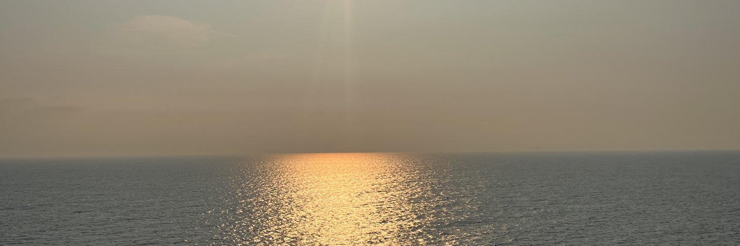 cokiscutlas's profile banner image