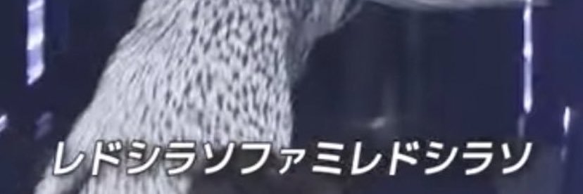 ｸﾘｽ banner