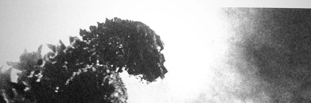 SuperNerdFlash1's profile banner image