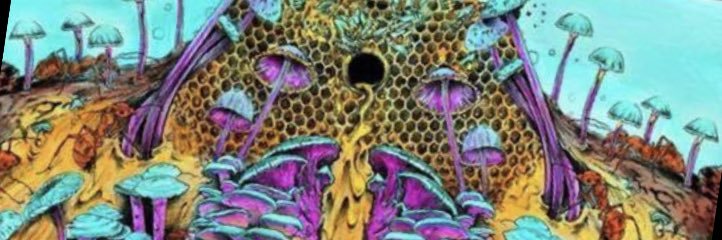 AliceBirky's profile banner image