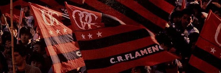 freiretss's profile banner image