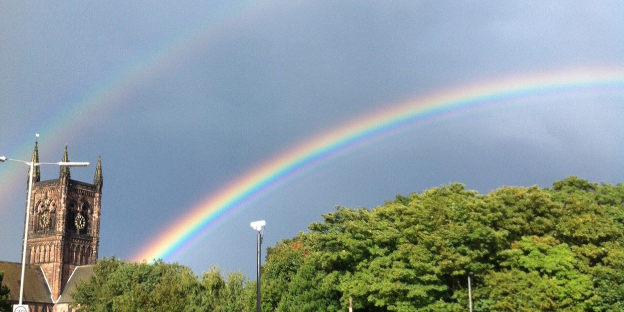 Thomas Farrelly banner