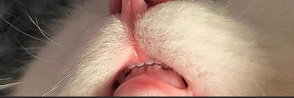 p0costa's profile banner image