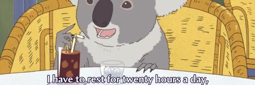 Devin banner