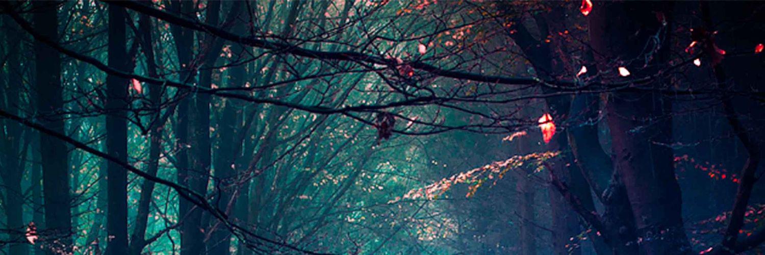 JessieGWool's profile banner image