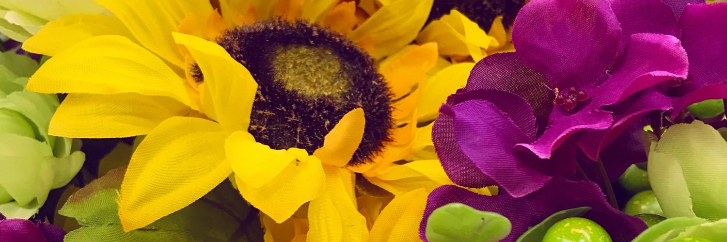 cassidyac7's profile banner image