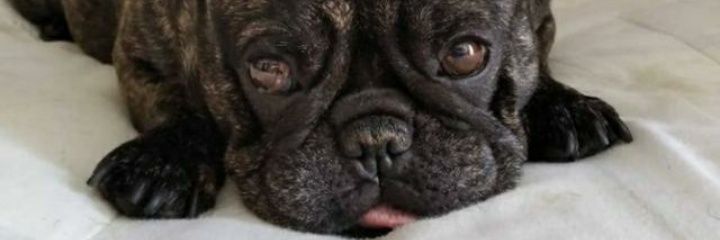 Itriaago's profile banner image