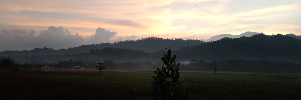 Flawsdeer's profile banner image