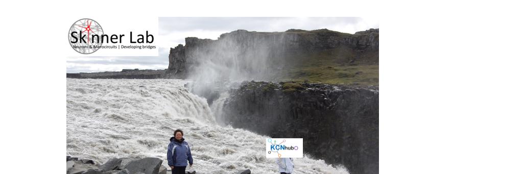 Frances Skinner banner