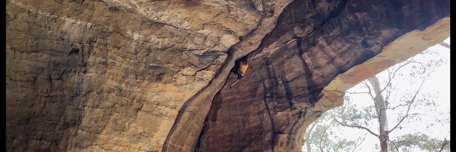 Matthew Robbins banner