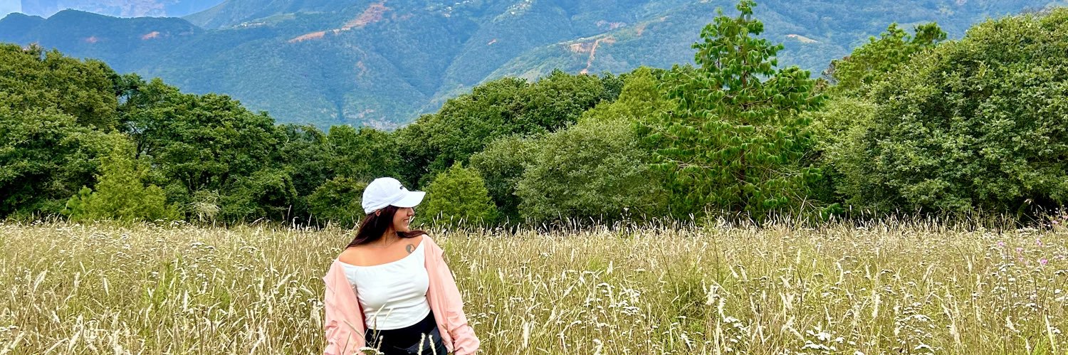 alivillegas_'s profile banner image