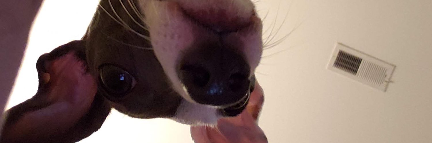 Rahlyx's profile banner image