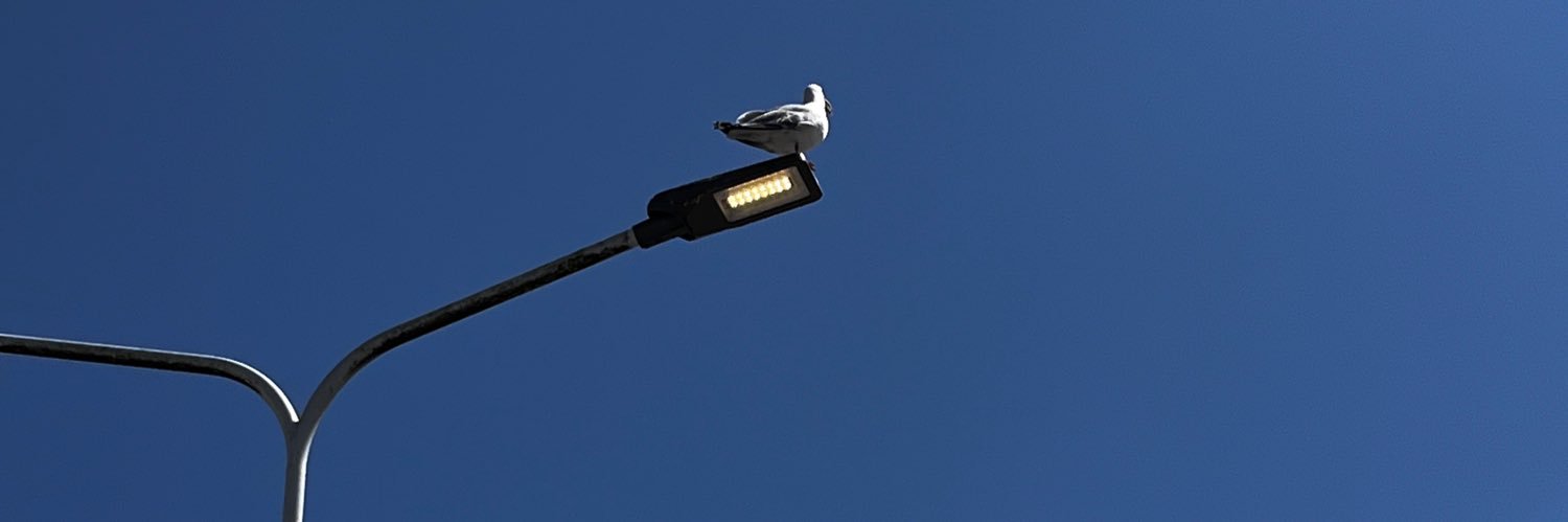 roodebank's profile banner image