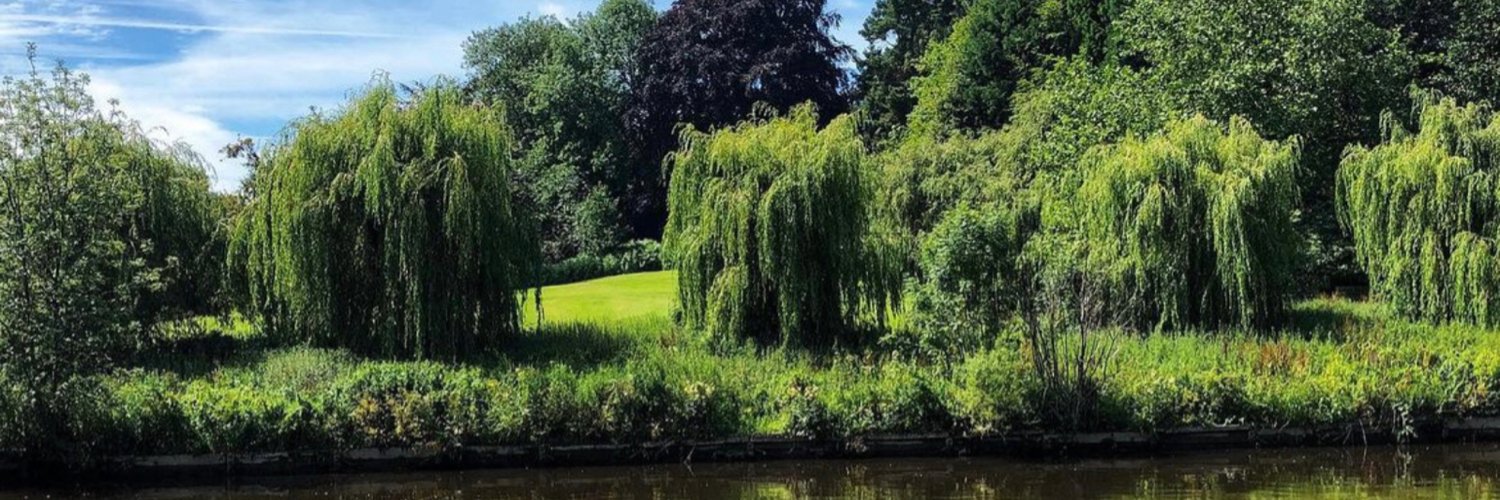 Nikki Davenport | Therapist banner