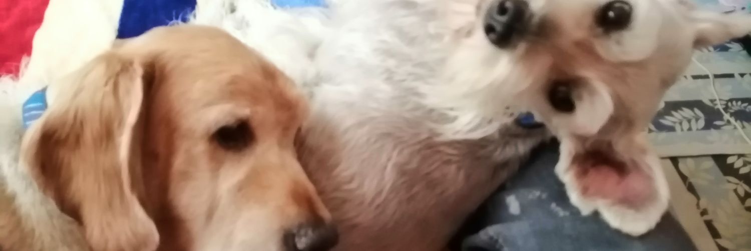 MiriamMsr's profile banner image
