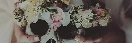 amelieee_'s profile banner image