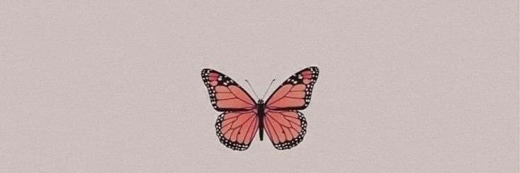 ginamilanoo's profile banner image
