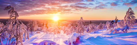 oliv_real's profile banner image