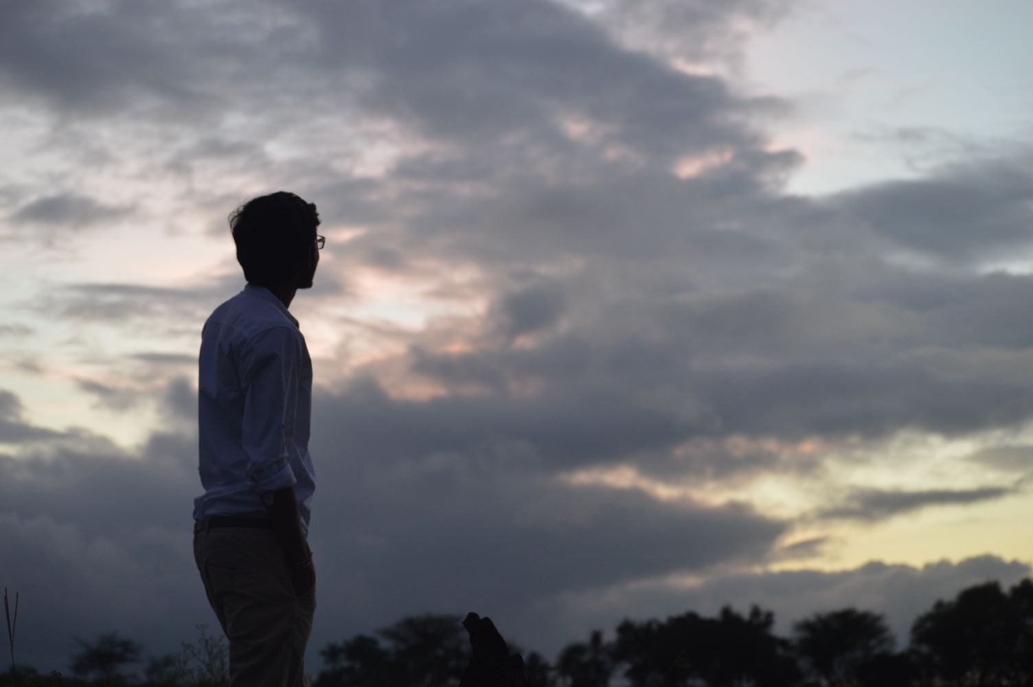 roshit_shetty's profile banner image