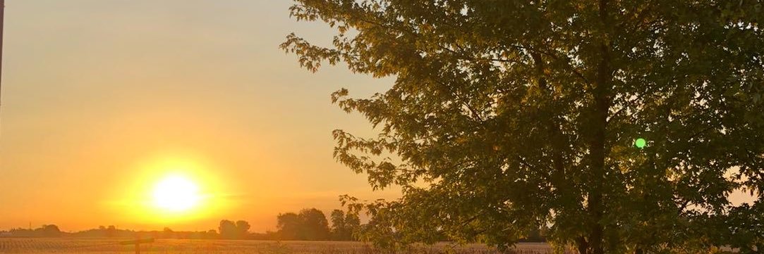 Sarah Schoettler banner