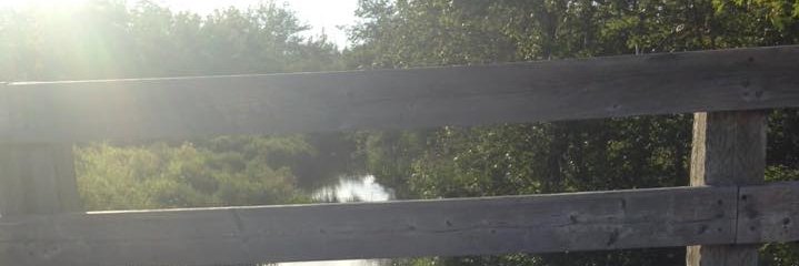 KerryFraser's profile banner image