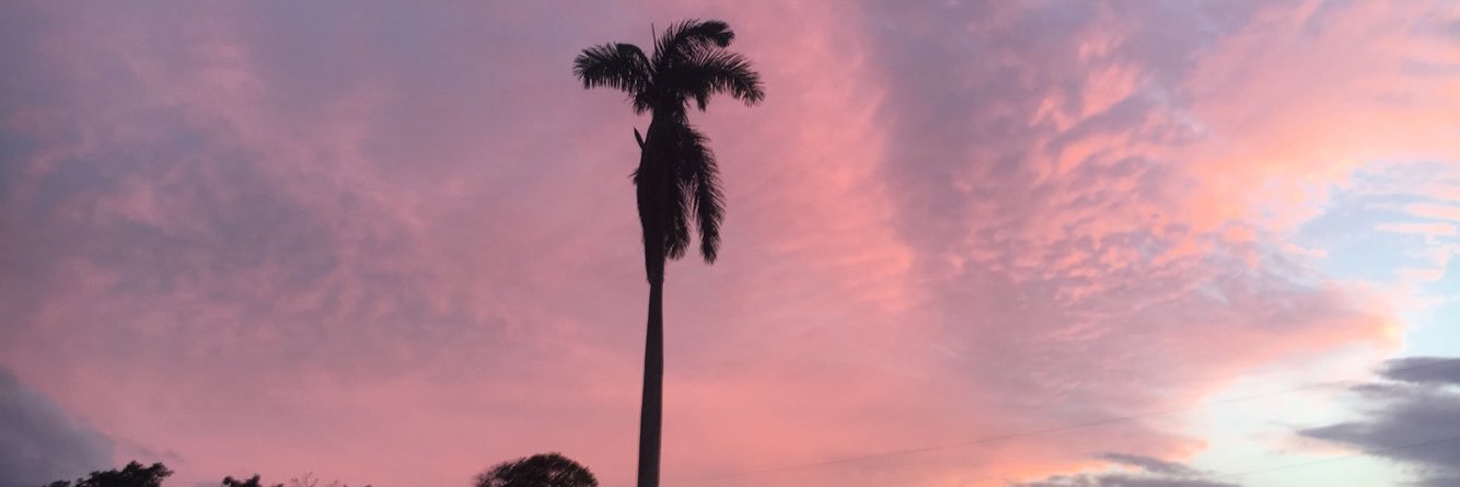 Molly✨Sue banner