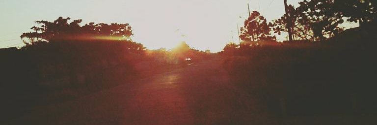 Carool_Pereira2's profile banner image
